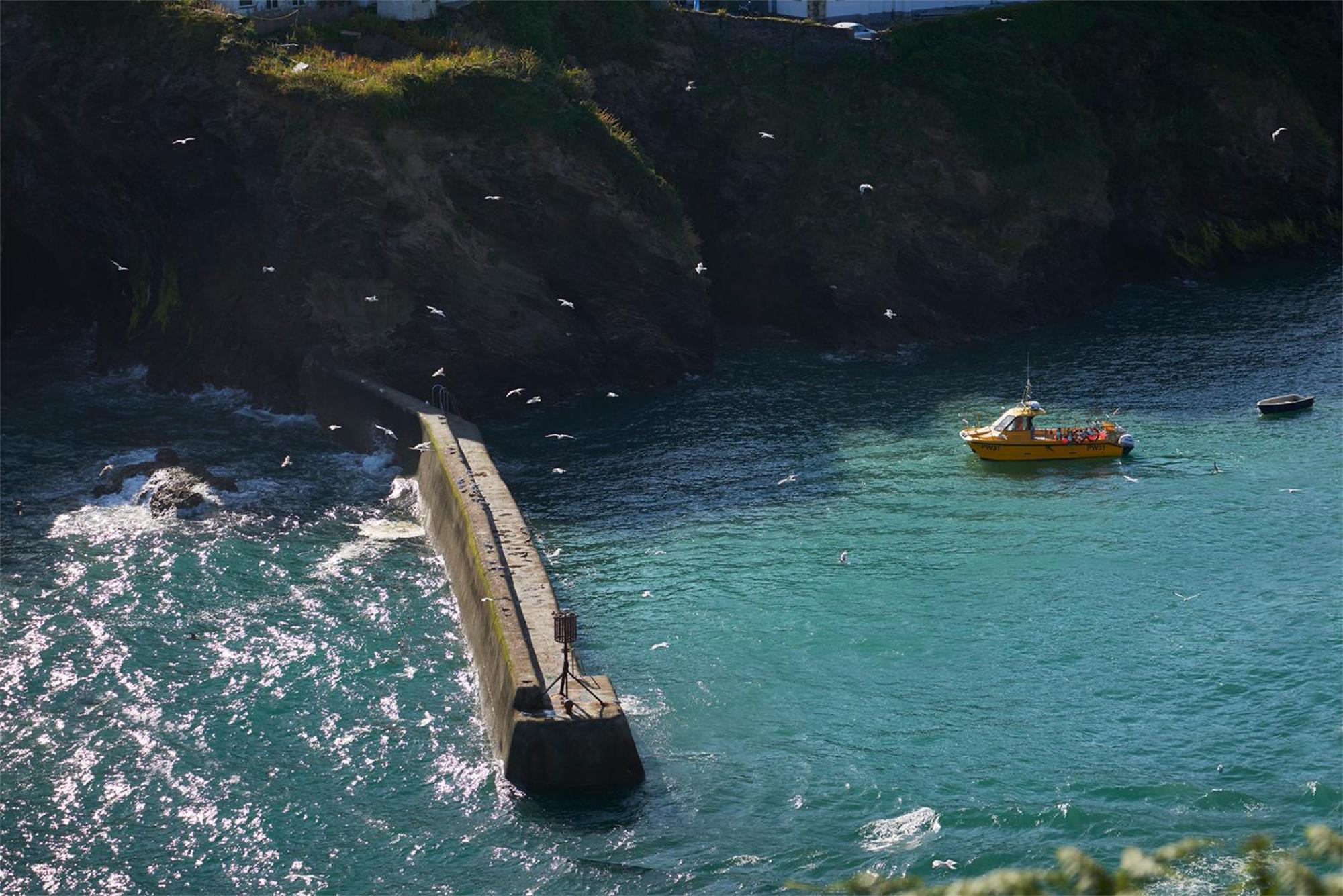 Outlaw'S Guest House Port Isaac Luaran gambar